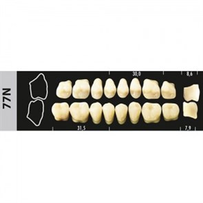 Зубы Major A3 77N жевательный низ, 8 шт (Super Lux). st194371