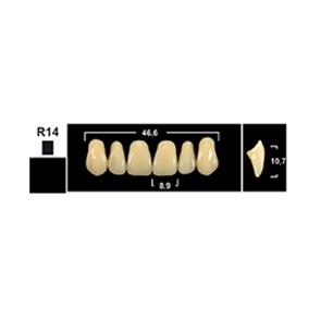 Зубы Yeti A2 R14 фронтальный верх (Tribos) 6 шт. 23502