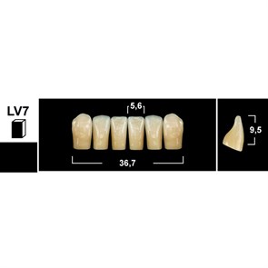 Зубы Yeti BL3 LV7 фронтальный низ (Tribos) 6 шт. 27117