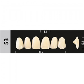 Зубы Major C3  53 фронтальный верх, 6 шт (Super Lux) st78661