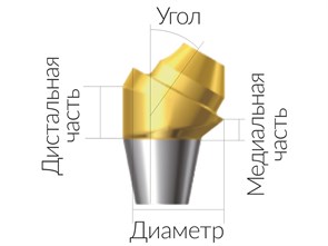 ASA45301018N  Винтовой угловой абатмент без шестигранника, диаметр 4.5 мм, Dentium (Ю.Корея) ASA45301018N