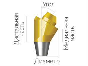 ASA55303018N  Винтовой угловой абатмент без шестигранника, диаметр 5.5 мм, Dentium (Ю.Корея) ASA55303018N