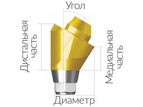 ASA55303018H  Винтовой угловой абатмент, диаметр 5.5 мм, Dentium (Ю.Корея) ASA55303018H