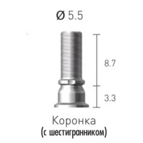 STC55SL Цилиндр титановый, винт абатмента с шестигранником, Dentium (Ю.Корея) STC55SL