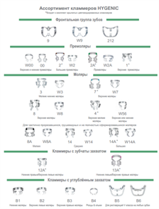 HYGENIC DENTAL DAM CLAMPS SET - набор кламмеров без крыльев, 9 шт H-02801