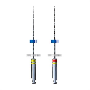 iRaCe Plus - набор эндодонтических файлов (R1a - 2% №20 - 2 шт, R2b - 2% №25 - 2 шт), 31 мм, 4 шт 700IRPL31