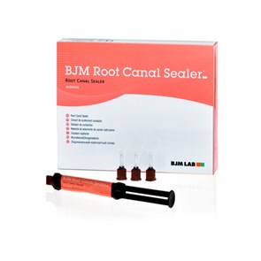 BJM Root Canal Sealer – эндоканальный композитный силер, двойной шприц, 5 мл 400200-RU