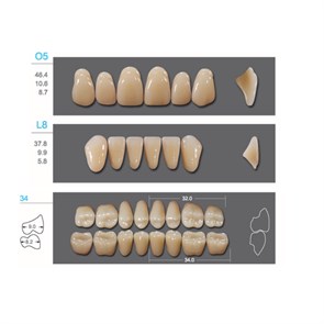 Kaifeng - зубы акриловые, верхние O5, овальные, цвет A2, коробка 4х28шт A2O5/L8/34_Kaifeng