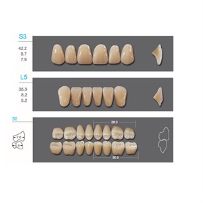 Kaifeng - зубы акриловые, верхние S3, цвет C3, коробка 4х28 шт C3S3/L5/30_Kaifeng