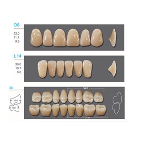 Kaifeng - зубы акриловые, верхние O8, овальные, цвет C2, коробка 4х28 шт C2O8/L14/34_Kaifeng