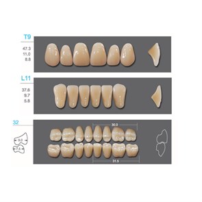 Kaifeng - зубы акриловые, верхние T9, цвет C2, коробка 4х28 шт C2T9/L11/32_Kaifeng