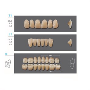 Kaifeng - зубы акриловые, верхние T1, цвет C2, коробка 4х28 шт C2T1/L1/30_Kaifeng