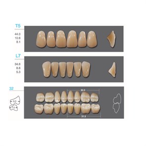 Kaifeng - зубы акриловые, верхние T5, цвет C2, коробка 4х28 шт C2T5/L7/32_Kaifeng