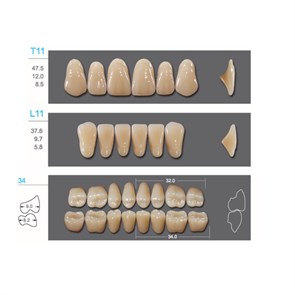 Kaifeng - зубы акриловые, верхние T11, цвет C2, коробка 4х28 шт C2T11/L11/34_Kaifeng