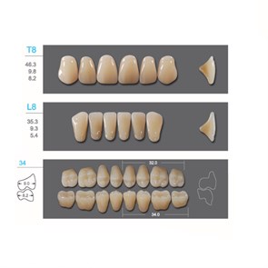 Kaili - зубы акриловые, верхние T8/нижние L8, цвет A4, размер 34, коробка 4х28 шт A4T8/L8/34_Kaili