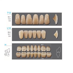 Kaifeng - зубы акриловые, верхние T12, цвет C2, коробка 4х28 шт C2T12/L14/34_Kaifeng