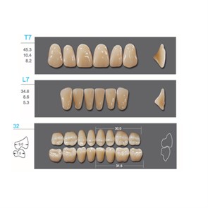 Kaifeng - зубы акриловые, верхние T7, цвет C2, коробка 4х28 шт C2T7/L7/32_Kaifeng