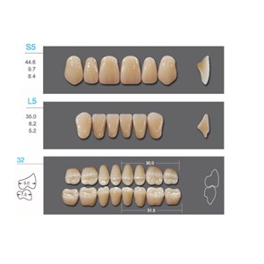 Kaifeng - зубы акриловые, верхние S5, цвет C4, коробка 4х28 шт C4S5/L5/32_Kaifeng