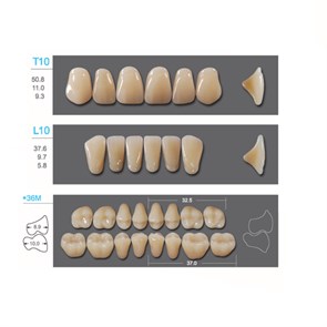 Kaili - зубы акриловые, верхние T10/нижние L10, цвет D4, размер *36M, коробка 4х28 шт D4T10/L10/*36M_Kaili