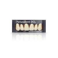 SR Vivodent DCL Set A-D - набор фронтальных зубов A-D, 6 шт 564852