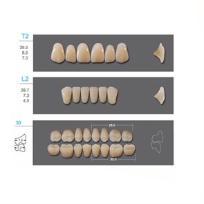 Kaili - зубы акриловые, верхние T2/нижние L2, цвет B2, размер 30, коробка 4х28 шт B2T2/L2/30_Kaili