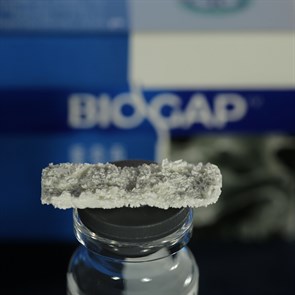 BIOGAP / Биоимплант ГАП Пластина, 2х10х30 мм 40101