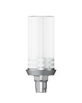 Кобальт-хромовый приливаемый абатмент антиротационный, включая винт абатмента, D 5,0 H 720