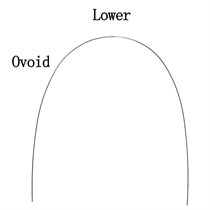 Дуга нитиноловая термоактивная овоидная форма 16х16 н/ч 78553