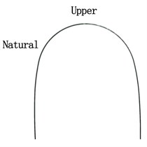 Дуга нитиноловая термоактивная натуральная форма 014 в/ч 78280