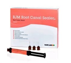 Рут Канал Силер (BJM Root Canal Sealer), набор, 400200, BJM 00000007712