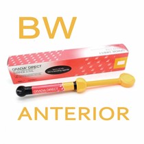 Градия Директ Антериор (Gradia Direct Anterior ), A-BW, шприц, 4г, 003361, GC 00000004264