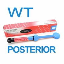 Градиа Директ Пастериор (Gradia Direct Pasterior), P-WT, шприц, 4,7г, 003426, GC 00000011770