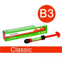 Харизма Классик (Charisma Classic), B3, отдельный шприц, 4г, Heraeus Kulzer 00000013823