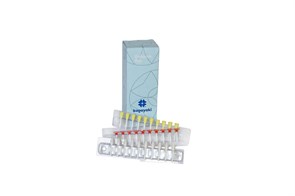 Пики полиры грубые белые(10шт) (Enforce Pin  125) KAGAYAKI 00000008384