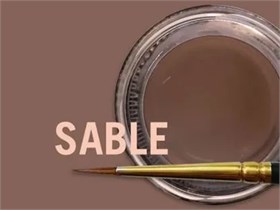 MiYO Gingiva Color внешний краситель для десны Sable, 4 г, Jensen Dental УТ-00006563