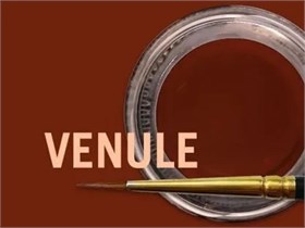 MiYO Gingiva Color внешний краситель для десны Venule, 4 г, Jensen Dental УТ-00006555