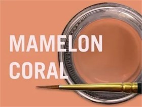 MiYO Mamelon высоко опаковый краситель с низкой флюоресцентностью Coral, 4 г 0867 , Jensen Dental УТ-00008810