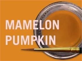 MiYO Mamelon высоко опаковый краситель с низкой флюоресцентностью Pumpkin, 4 г, Jensen Dental УТ-00006573