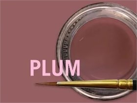 MiYO Gingiva Color внешний краситель для десны Plum, 4 г 0884, Jensen Dental УТ-00008825