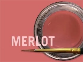 MiYO Gingiva Color внешний краситель для десны Merlot, 4 г, Jensen Dental УТ-00007286
