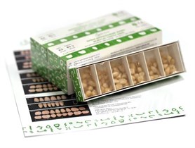 Зубы акриловые ANIS 2-х слойные А3.5 размер 11 (11, 43, 83 верх, 83 низ) 560шт, АНИС УТ-00003430