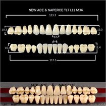 Зубы New Ace & Naperce Set (GLORIA) верх/низ, S4/M32 (28шт) цв. C4, NNC4S4, Yamahachi УТ-00009087