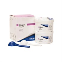 Силагум Патти Фаст (Silagum Putty Fast), база+катал. 2х262мл, 909038, DMG 00000002599