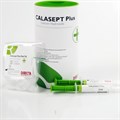 Calasept Plus Calcium Hydroxide (шпр. 4*1.5мл) канюли изогнутые CALASEPT Flexi-Tip 1231912842 - фото 321721