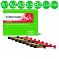 Сharisma Сlassic Syr Kit Набор 8x4г+ Gluma2Bond 0001914677 - фото 323250