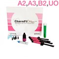 CharmFil Plus НАБОР 4 шпр. (A2, A3, B2, UO)- бонд CharmBond 5 мл, гель для протравки, DENTKIST 1231913743 - фото 323299