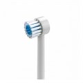 Наконечники Waterpik TB-100E насадки-щетки для WP-100, WP-260, WP-300, WP-660 0001916444 - фото 327152
