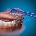 Наконечники Waterpik TC-100E для чистки языка для WP-100, WP-260, WP-300, WP-660, WP-450 0001916451 - фото 327156