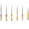 Gold-Taper S2, 21мм (6шт.)-машинный инструмент для обработки корневых каналов, Геософт 1231914320 - фото 331474