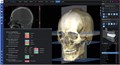 Программное обеспечение Planmeca Romexis 3D Cephalometric Analysis, лицензия на 1 пользователя FE004915 - фото 357505